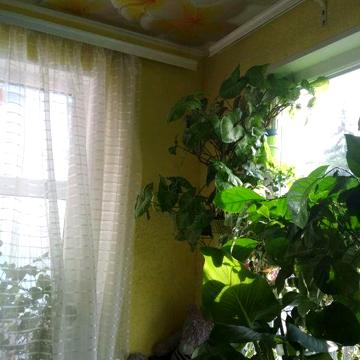 Продаж нерухомості в місті