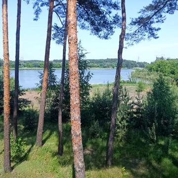 Українка, Садиба 2000м.кв. на березі річки Козинка, в лісі