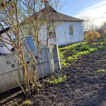 Продається будинок в Білоцерківському р-ні, с. Іванівка