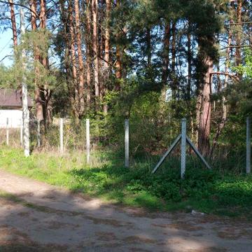 Продам будинок у сосновому лісі 22 сотки Орлівщина Слобода