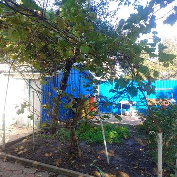 Дом в Шевченково