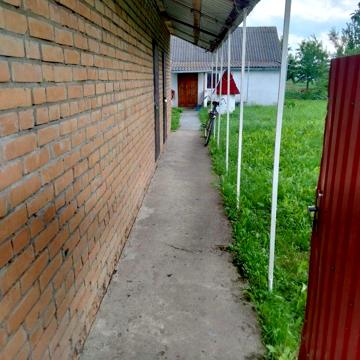 Продам будинок в селі Грузевиця