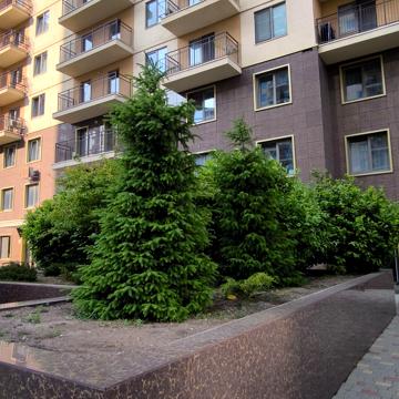 Сергія Єфремова вул. (Академіка Вавілова), 60