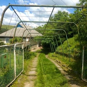 Житловий будинок із господарчими будівлями та земельною ділянкою