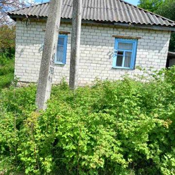 Будинок в селі Біївці