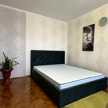 Довгострокова оренда 1к Квартира Князя Володимира вулиця