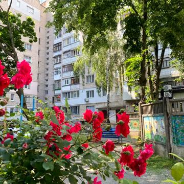 Дмитра Майбороди вул. (Збишка), 6