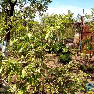 Продається будинок на 10 сотках землі