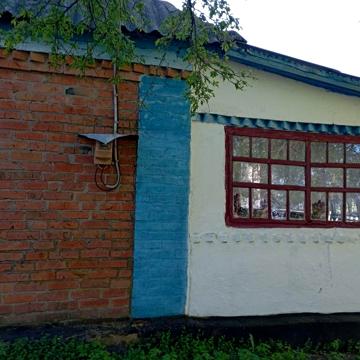 Хата в с. Брицьке із ділянкою