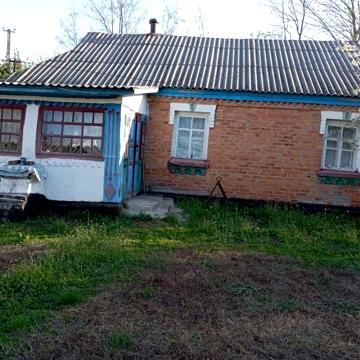 Хата в с. Брицьке із ділянкою