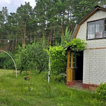 Дача кооператив Хвилівка