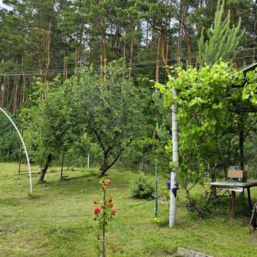 Дача кооператив Хвилівка