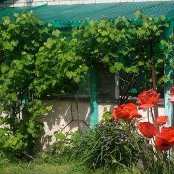 Дача поруч з Дніпром  с. Циблі Переяслав Хмельницький