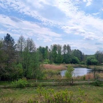 Дача біля озера 22 сотки під Києвом село Миколаївка