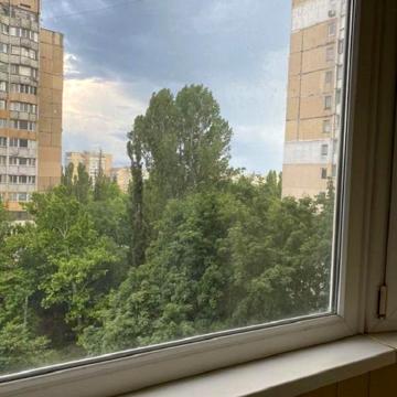Князя Володимира Великого просп., 116