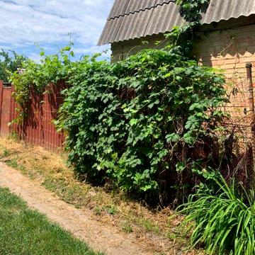 Дача жила 2домика Полтавська 8800 $
