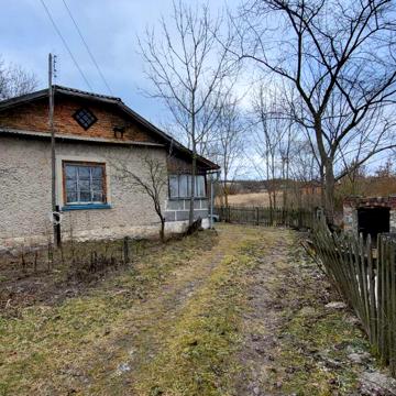 Центральна