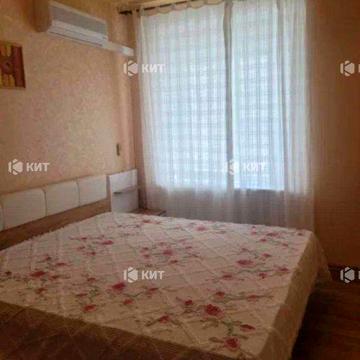 4к. 75м2 Центр (ул Мироносицкая 88, Университет, Парк Горького) 128849