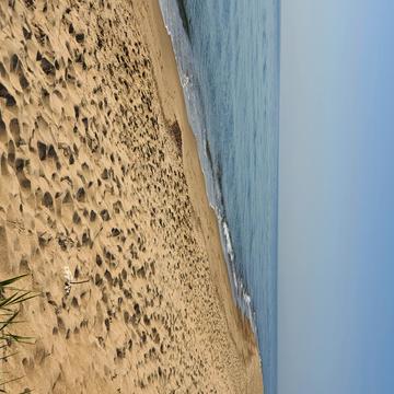 Кароліни Сибанської вул., 5