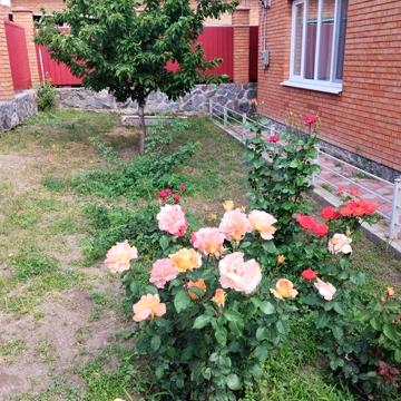 Здам в  оренду  на довгий термін сучасний будинок  в Бережинці