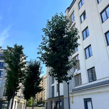 Продаж квартири в закритому ЖК, Котел у вартості, Без комісії ЖК Бургундія