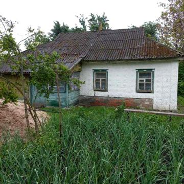Продам будинок в селі Хитці ( 18 соток )