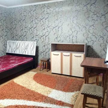 Здам житло Нові Петрівці