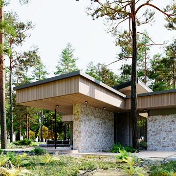 Дом в коттеджном городке Сосновый берег Обуховка пос Кировское