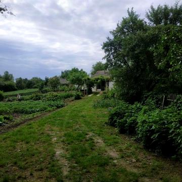Продам будинок на березі річки Сула, Роменський район Сумська обл