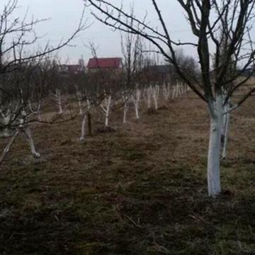 Продаж 2к Дім Грушевського