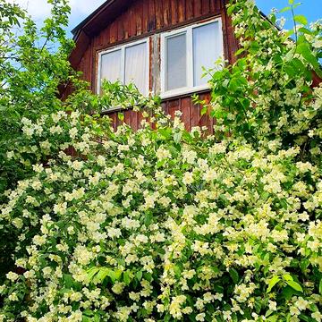 Продаж 1к Дім вулиця 1я лінія