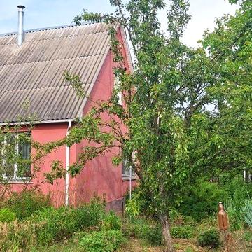 Продам будинок з господарськими будівлями та спорудами