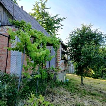 (3) Продам дачний будинок в Стрижавці 0691