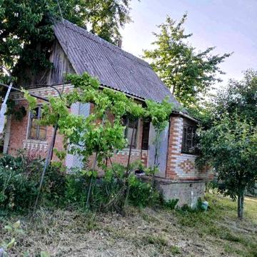 (3) Продам дачний будинок в Стрижавці 0691