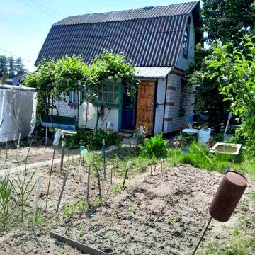 Дача в Олександрівці