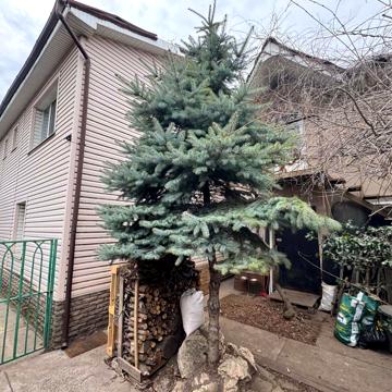 Миколаївська вул.