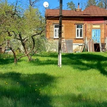 центральна