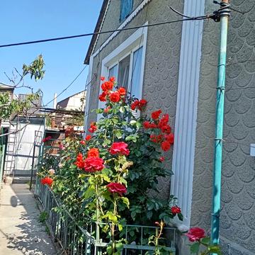 2-й Чорноморський провулок