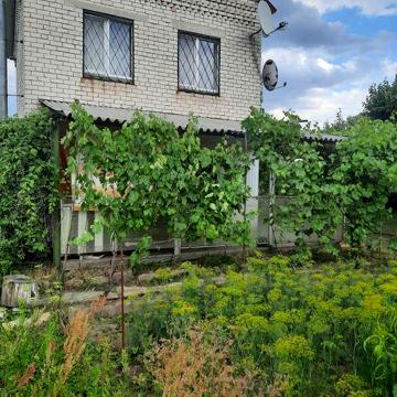 Продаж дачі, Соловїний гай