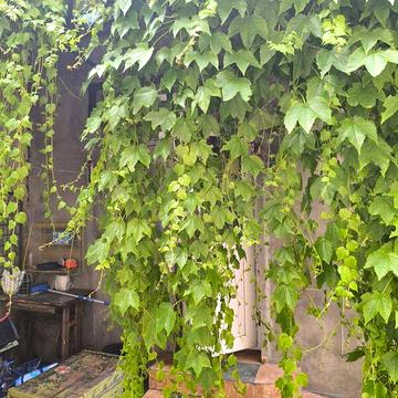 Продаж 3к Квартира Святослава Караванського (Жуковського) вулиця