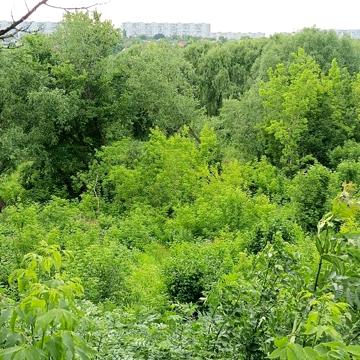 Продаж 3к Дім Котляри провулок