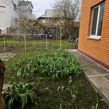 Шевченка вул.
