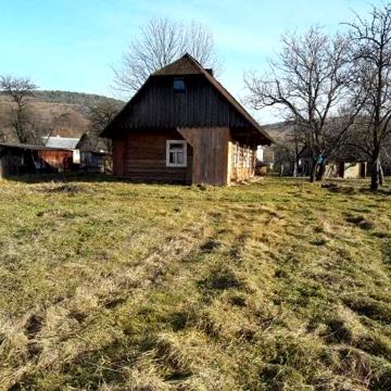 Будинок з земельною ділянкою