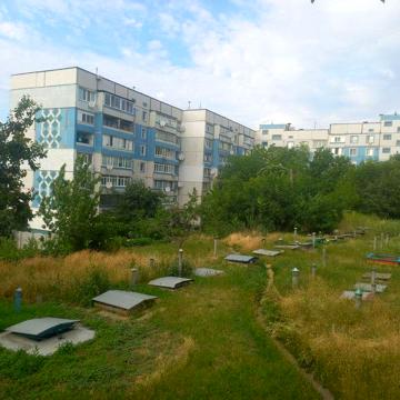 Продам квартиру  однокомнатная большая лоджия кладовая подвал 1 этаж