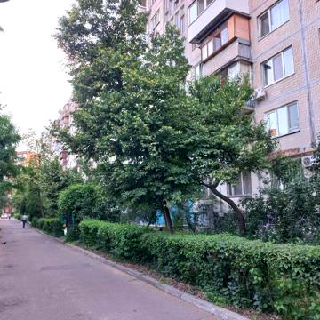 Анатолія Соловяненка вул. (Олександра Бойченка), 8