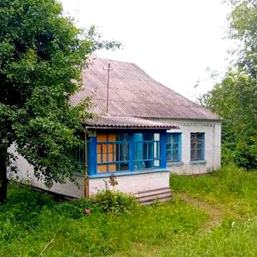 Польова