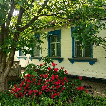 Продам будинок в селі Пологи