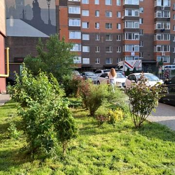 Марії Примаченко вул., 83