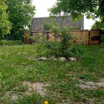 Продам дачу в садовому товаристві "ДНІПРО"