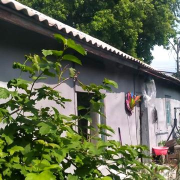 продаю будинок із ділянкою